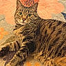 animal, carpet, cat, closeup, cozy, curious, cute, domestic, feline, floral_rug, green_eyes, indoor, lying_down, mammal, paw, pet, resting, striped_fur, tabby, whiskers