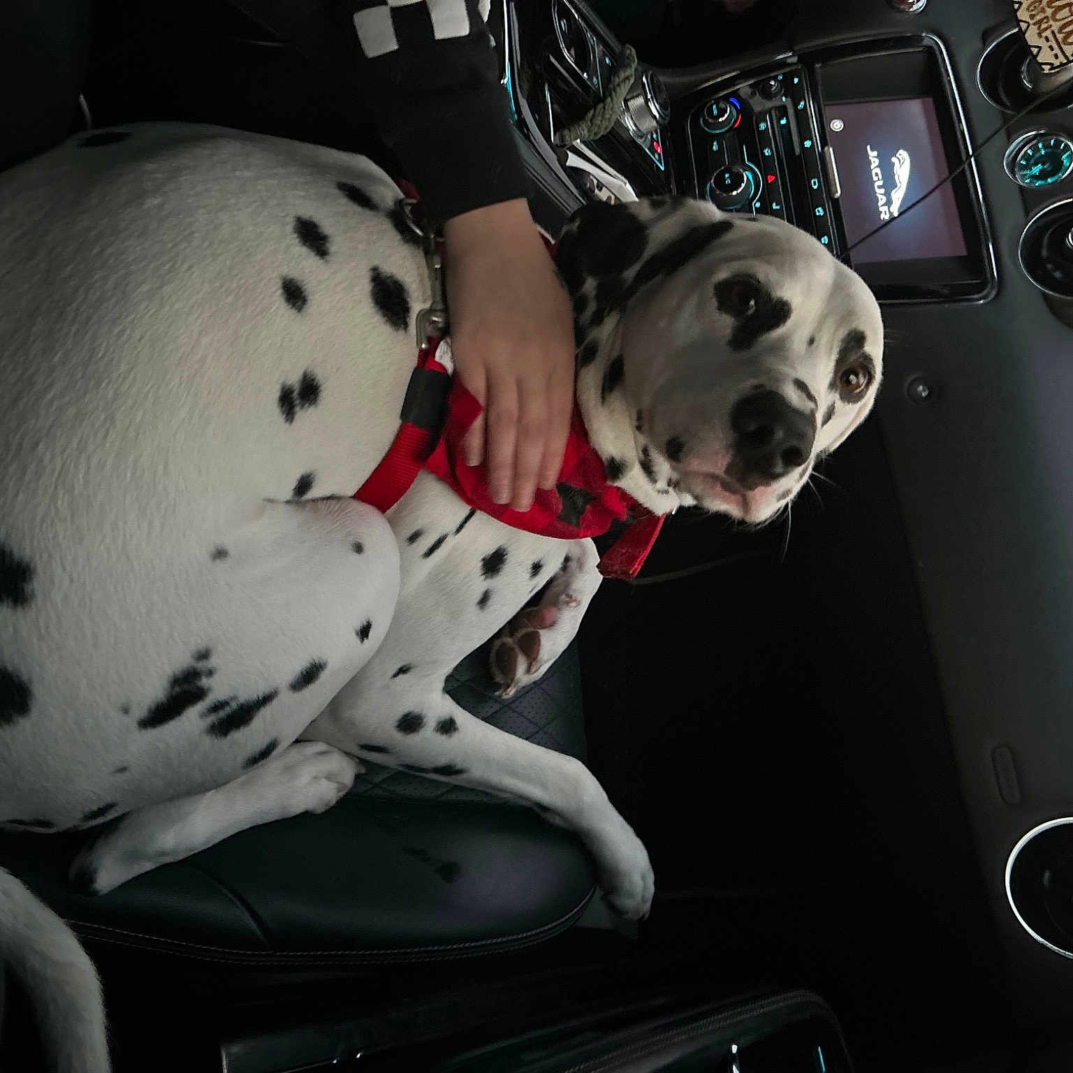 Ranger joined the competition — help win amazing prizes! auto_part, automotive_design, automotive_exterior, automotive_lighting, car, carmine, family_car, gadget, gauge, gear_shift, luxury_vehicle, motor_vehicle, personal_luxury_car, speedometer, steering_part, steering_wheel, vehicle, vehicle_door, white, windshield