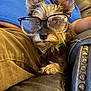 blue_shirt, brown_pants, casual, closeup, comfort, couch, cozy, decorative_nails, dog, fur, glasses, indoor, leather_couch, person, pet, portrait, relaxing, seated, small_dog, whiskers