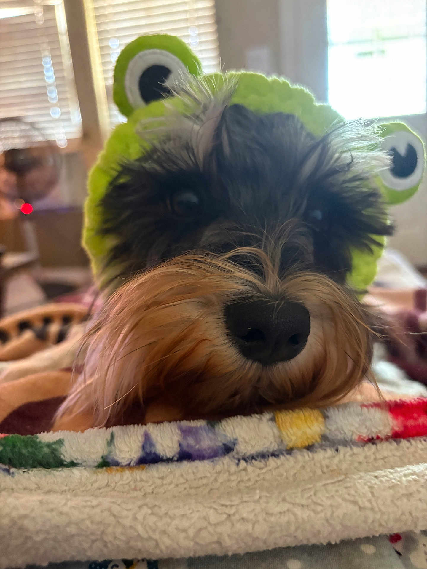 Zoey