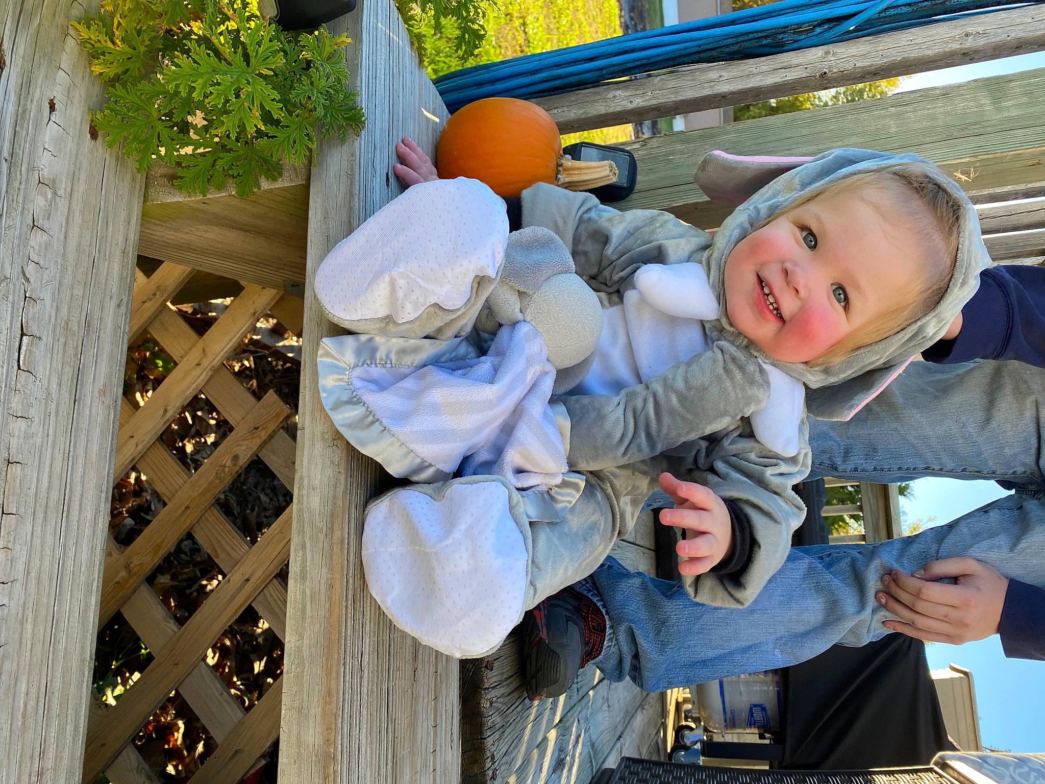 Oaklee joined the competition — help win amazing prizes! baby, baby_products, child, fun, happy, hoodie, jacket, joy, leisure, person, plant, product, recreation, smile, toddler, travel, tree, vacation, winter, wood