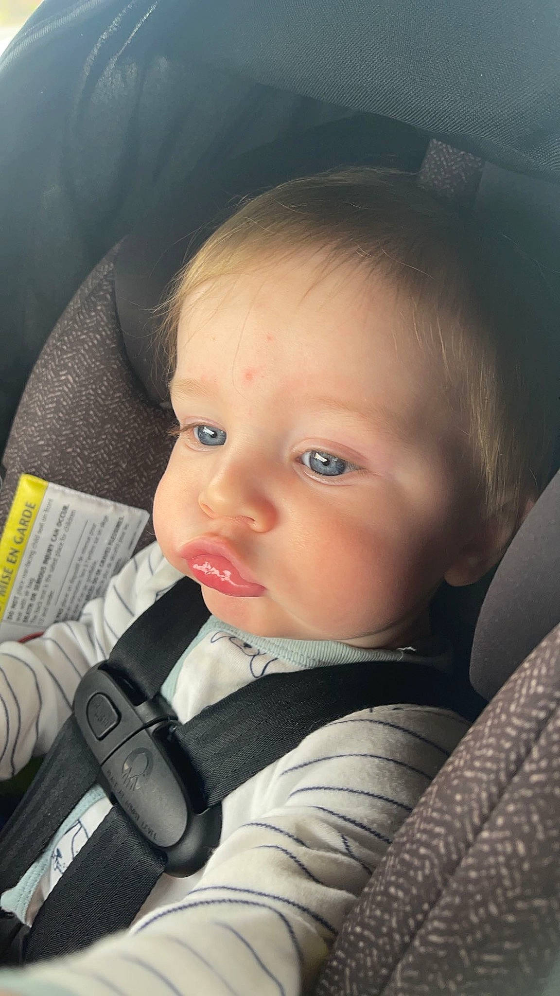 Asher joined the competition — help win amazing prizes! auto_part, automotive_design, baby, baby_carriage, baby_in_car_seat, car_seat, cheek, child, comfort, ear, eyebrow, flash_photography, lip, mouth, nose, outerwear, person, seat_belt, skin, steering_wheel