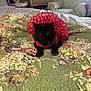 animal, armchair, bedspread, black_cat, cat, cozy, cute, domestic_cat, dresser, floral_pattern, furniture, furry, indoor, pet, polka_dot, quilt, red_clothing, resting, room, tutu