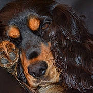 Geza a rejoint le concours — aidez-le/la à gagner de superbes lots !