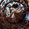 kitten, cat, orange_cat, animal, pet, feline, face, eyes, ears, whiskers, fur, leopard_print, tunnel, cat_toy, indoors, close_up, portrait, crouching, cozy, playful