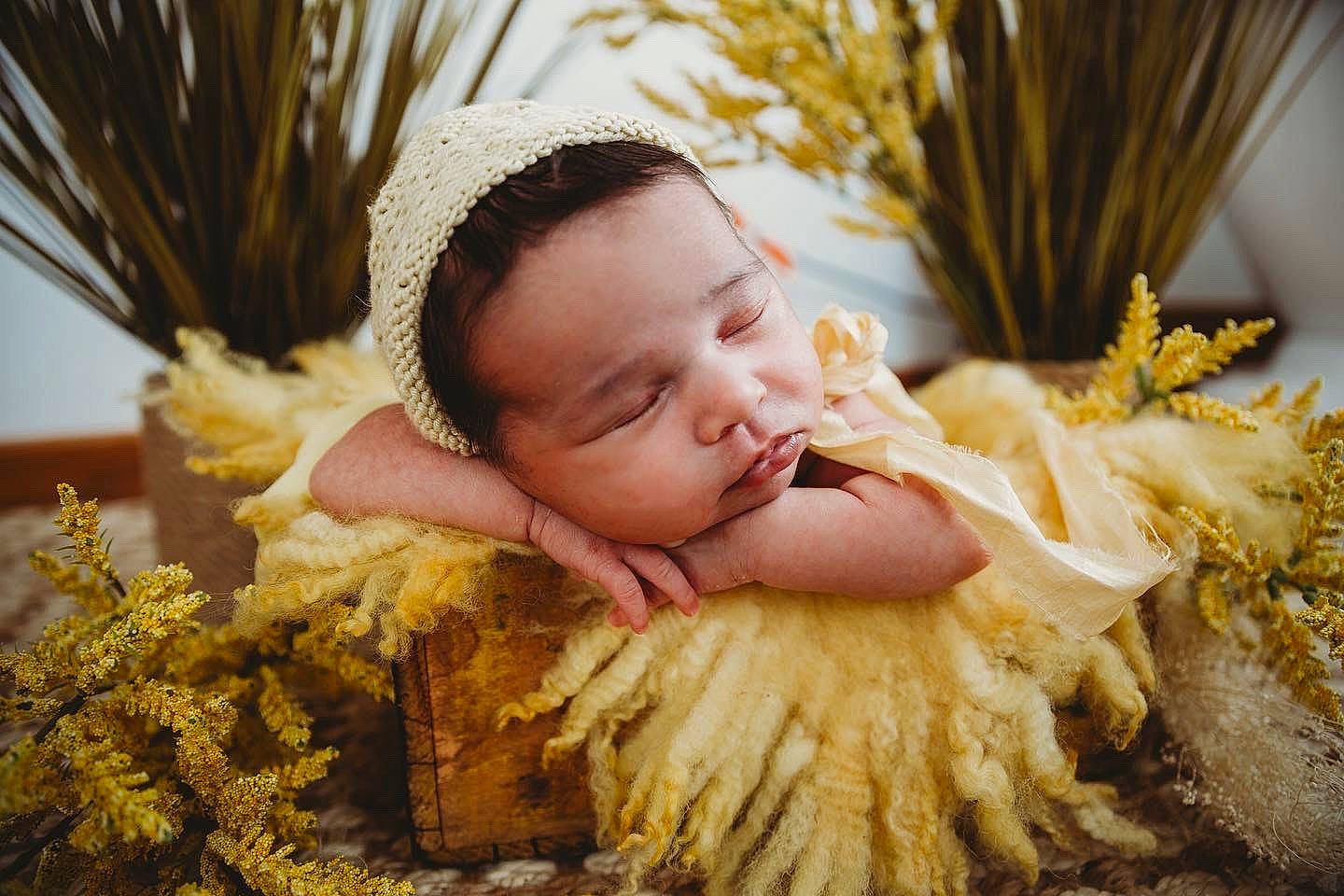 Alonna joined the competition — help win amazing prizes! baby, baby_toddler_clothing, child, event, facial_expression, flash_photography, fun, grass, grass_family, happy, head, leaf, morning, people_in_nature, person, smile, sunlight, toddler, winter, wood