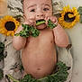 Leo is registered to the contest to win money with this photo: baby, infant, milk_bath, kale, sunflower, orange_slice, lemon_slice, fruit, flower, water, skin, cute, healthy, fresh, natural, child, relaxing, bath, vegetable, playful