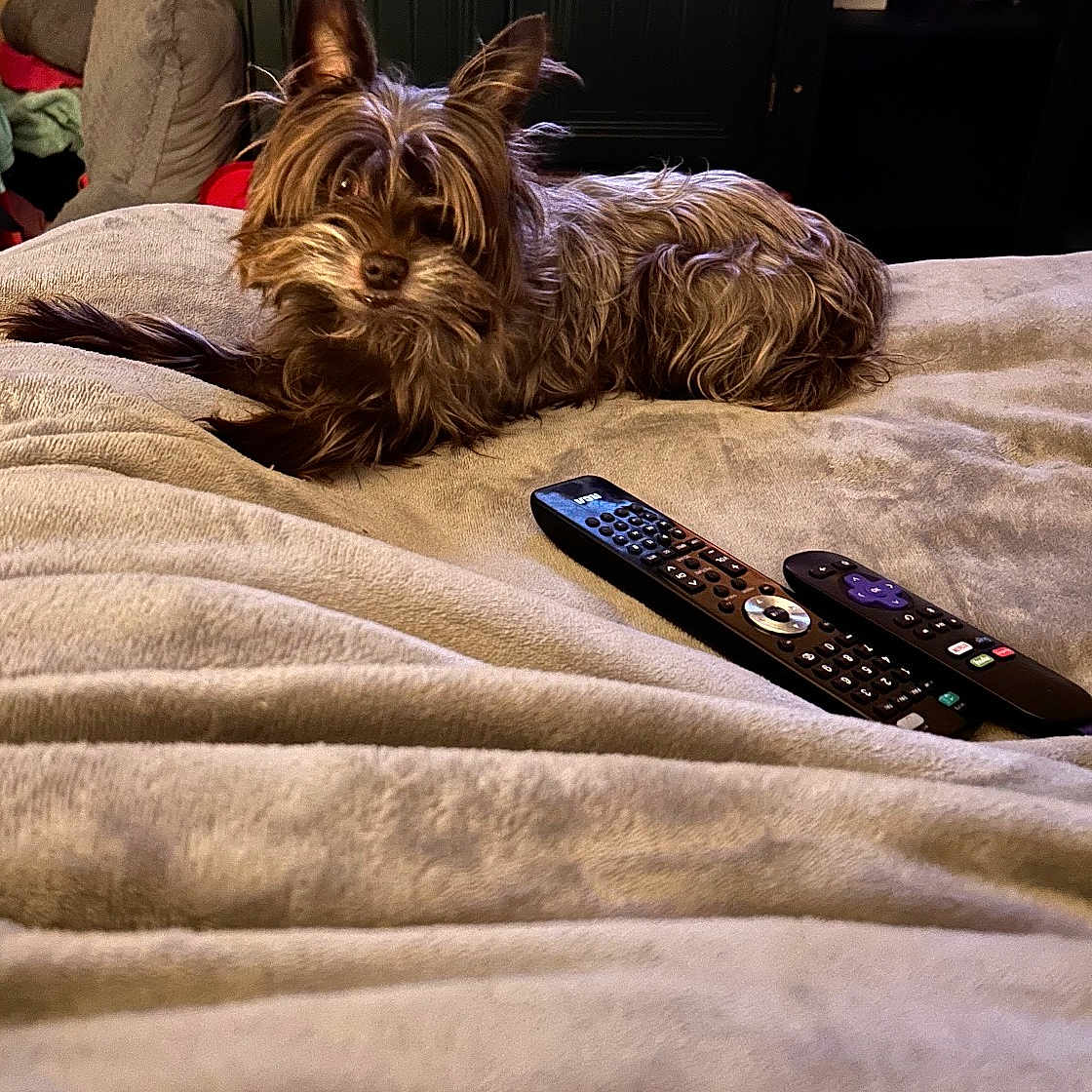 Charlie