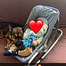 Prada participe au concours pour gagner de l'argent avec cette photo : dog, baby, baby_rocker, couch, stuffed_toy, heart_emoji, window, floor, indoor, resting, brown_couch, baby_clothing, toy, comfort, pet, human_animal_interaction, soft_lighting, home, cute, sleeping_dog