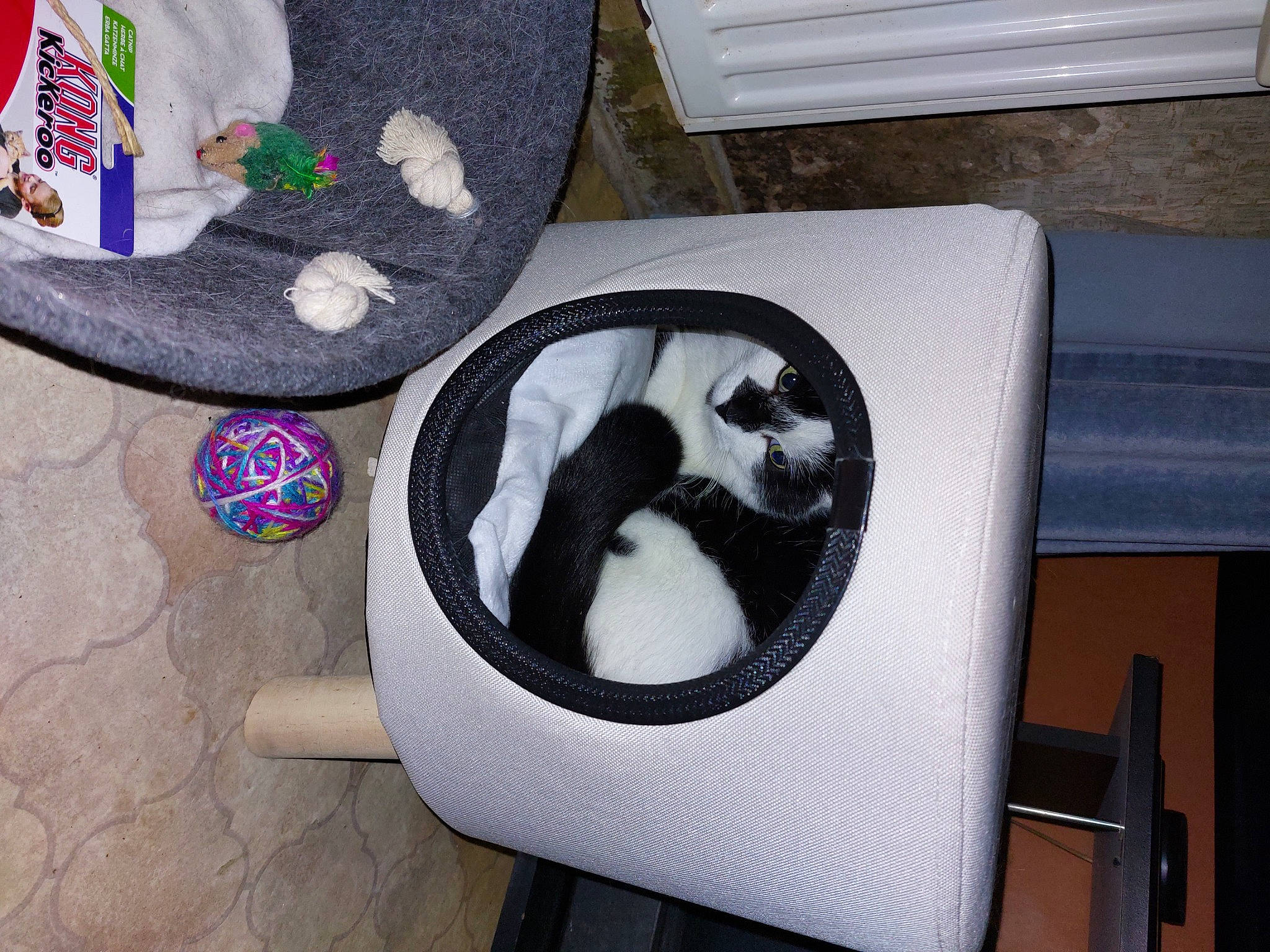 Dori participe au concours pour gagner de l'argent avec cette photo : audio_equipment, bag, carmine, circle, comfort, flooring, font, fur, gas, pattern, personal_protective_equipment, rectangle, white