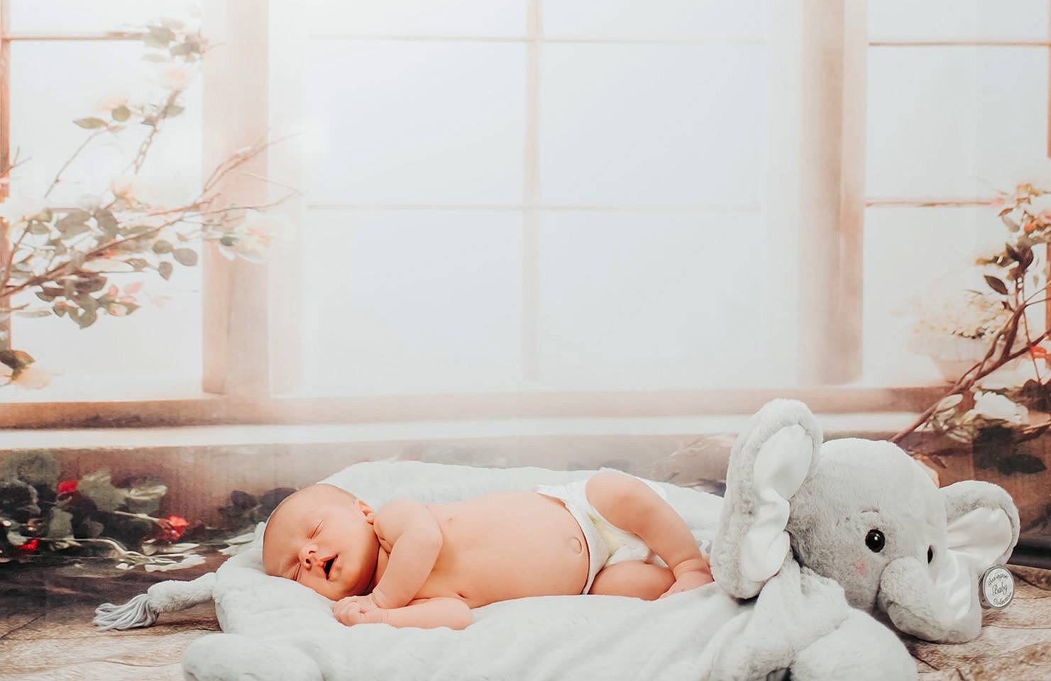 Damon is registered to the contest to win money with this photo: baby, beauty, bed, child, fur, furniture, interior_design, person, photograph, photography, product, room, sitting, stuffed_toy, textile, toddler