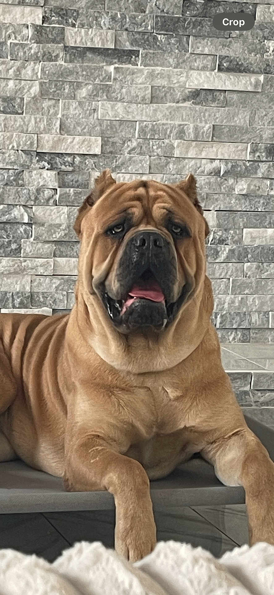 Zeus