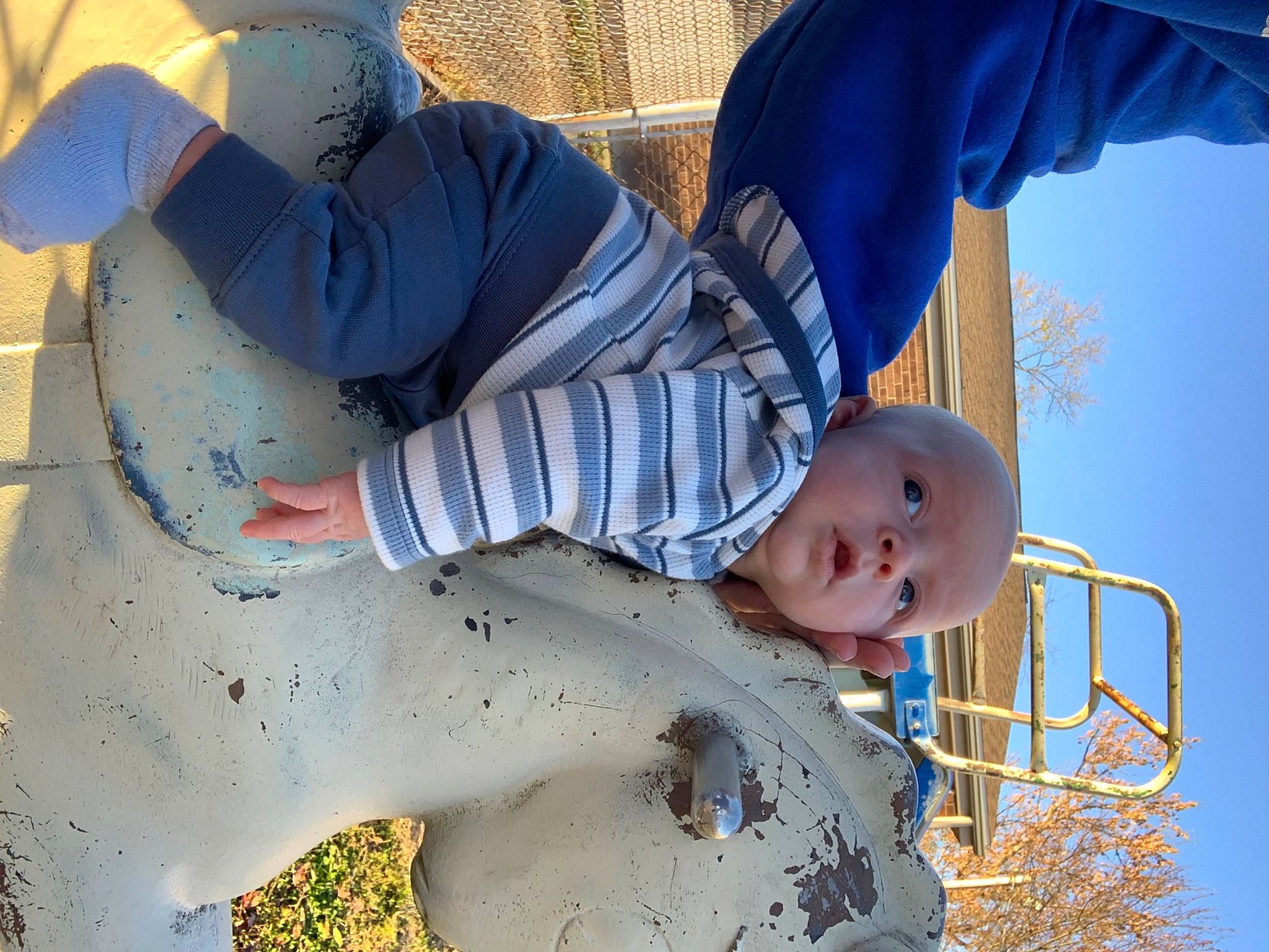 Everett is registered to the contest to win money with this photo: baby, baby_toddler_clothing, child, freezing, fun, grass, happy, human_body, human_leg, knee, leisure, outerwear, people, people_in_nature, person, photograph, sunglasses, toddler, tree, white
