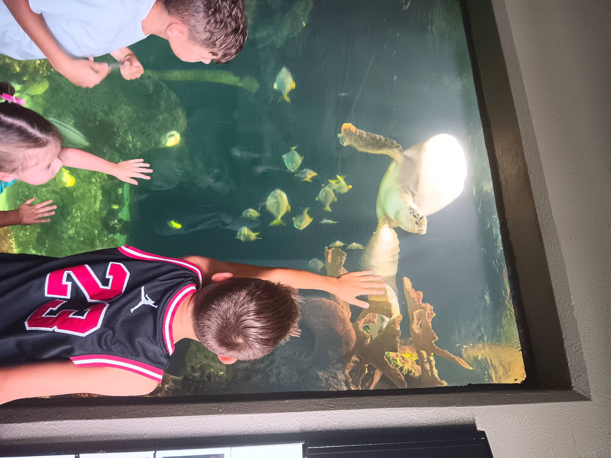 Lyric joined the competition — help win amazing prizes! child, design, display_device, flat_panel_display, fun, gesture, glass, happy, leisure, light, multimedia, person, recreation, room, snapshot, space, t_shirt, television_set, toddler, visual_arts