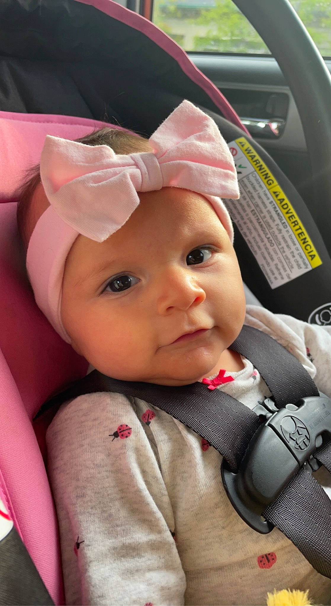 Ella-rose joined the competition — help win amazing prizes! automotive_design, baby, baby_carriage, baby_products, baby_toddler_clothing, cap, car_seat, child, comfort, fashion_accessory, hat, headwear, helmet, motor_vehicle, outerwear, person, pink, skin, steering_wheel, toddler