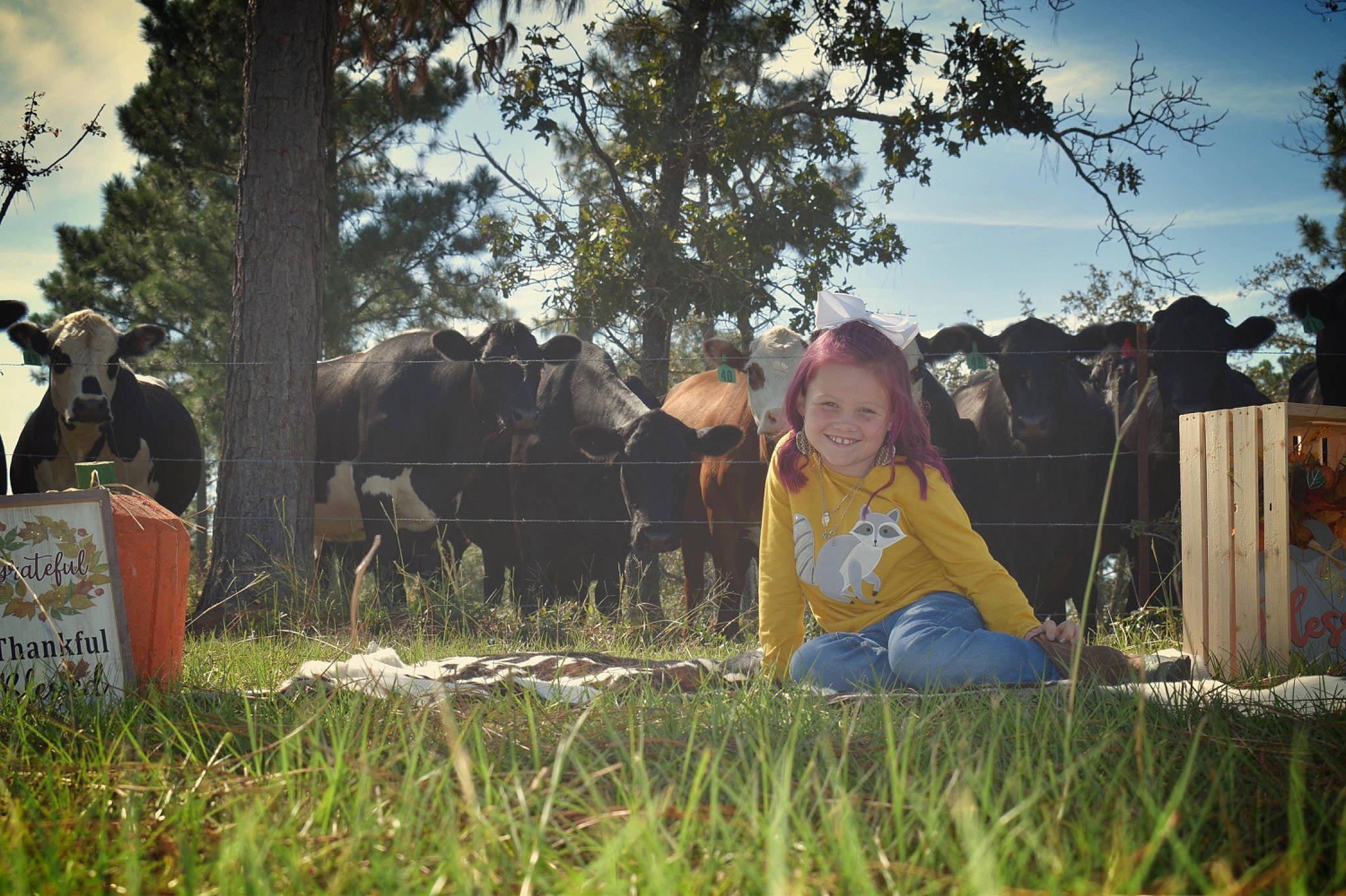 Maggie joined the competition — help win amazing prizes! bull, dairy_cow, fun, grass, grass_family, grassland, grazing, happy, joy, landscape, leisure, meadow, pack_animal, pasture, people_in_nature, person, plant, recreation, rural_area, sky