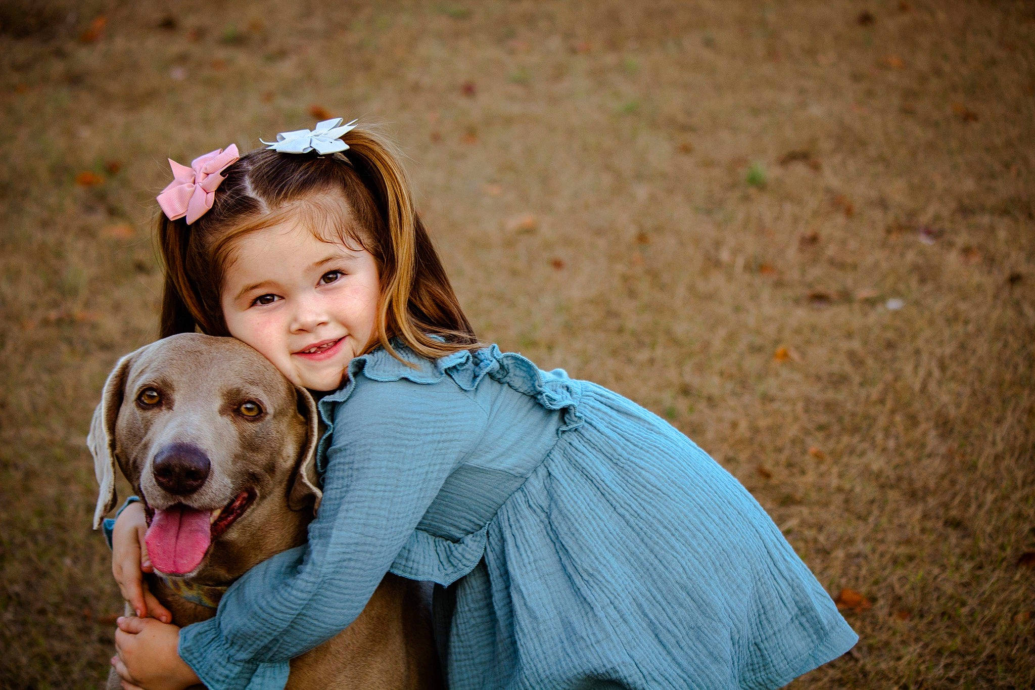 Mallory joined the competition — help win amazing prizes! blond, carnivore, child, companion_dog, dog, dog_breed, fawn, flash_photography, fun, fur, grass, happy, joy, laugh, leisure, people_in_nature, person, recreation, sitting, smile