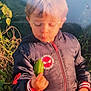 William participe au concours pour gagner de l'argent avec cette photo : blond_hair, boy, casual_clothing, child, curious, daylight, garden, green_bell_pepper, greenery, hand, holding, jacket, nature, outdoor, plants, portrait, spiderman_logo, sunlight, vegetable, young_child