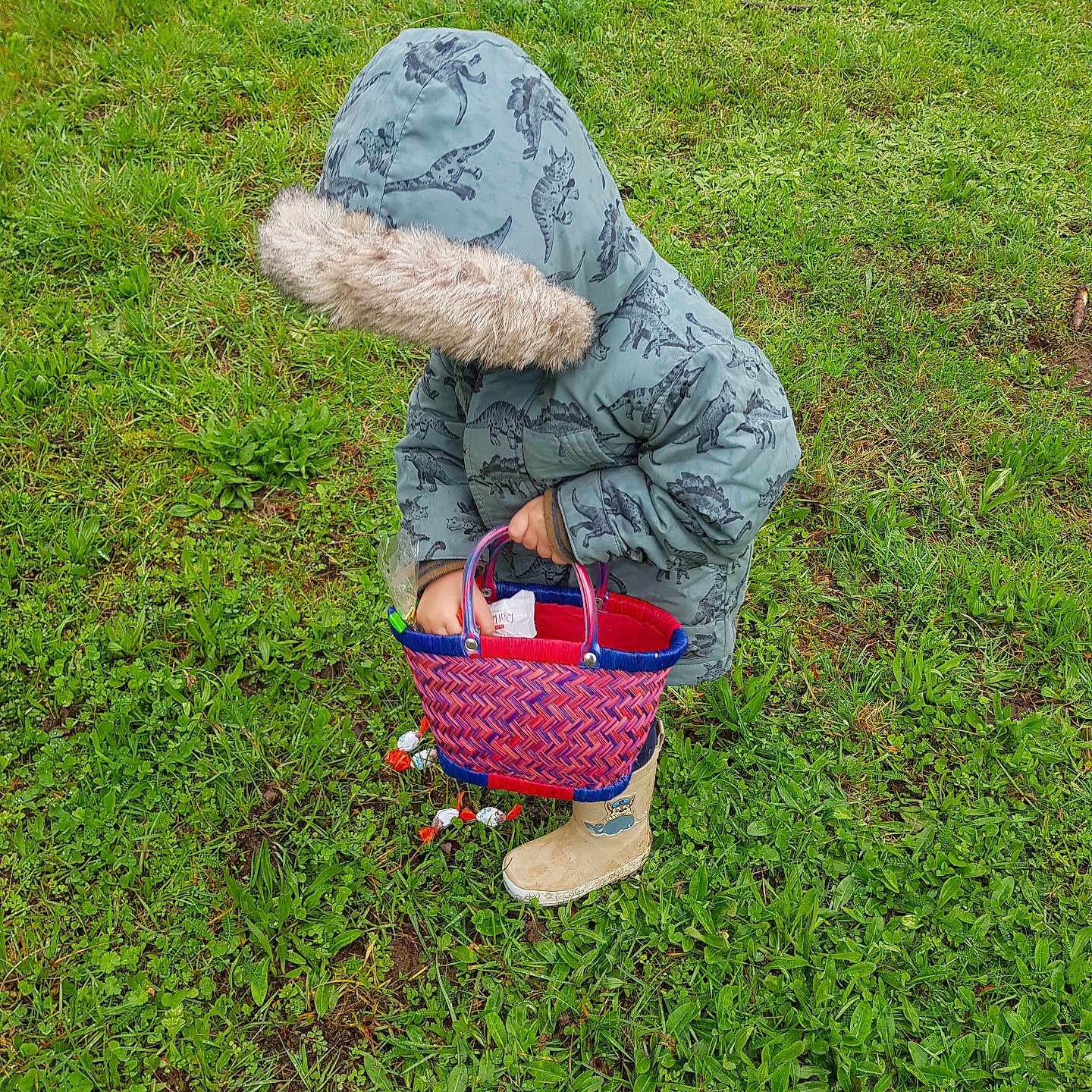 William participe au concours pour gagner de l'argent avec cette photo : accessories, animal, bag, basket, boy, child, clothing, face, footwear, grass, handbag, head, hood, lawn, male, person, photography, plant, portrait, shoe