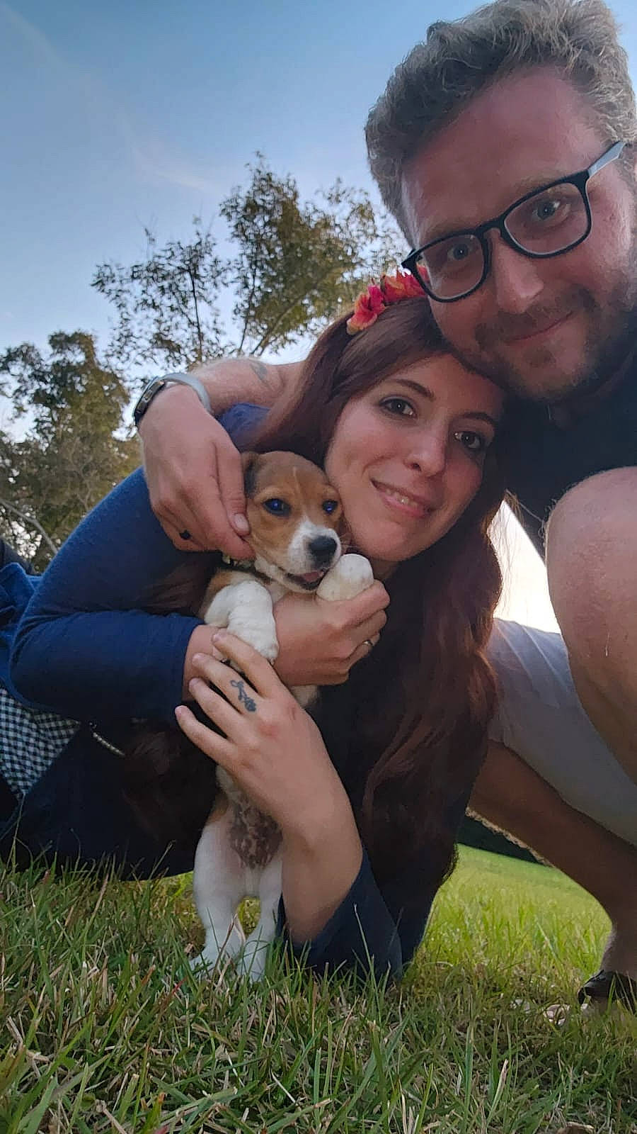 Strider joined the competition — help win amazing prizes! beard, carnivore, companion_dog, dog, dog_breed, eyewear, fawn, gesture, glasses, grass, hand, happy, leisure, people_in_nature, plant, sky, smile, sunglasses, tree, vision_care