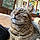 Mr Pipi