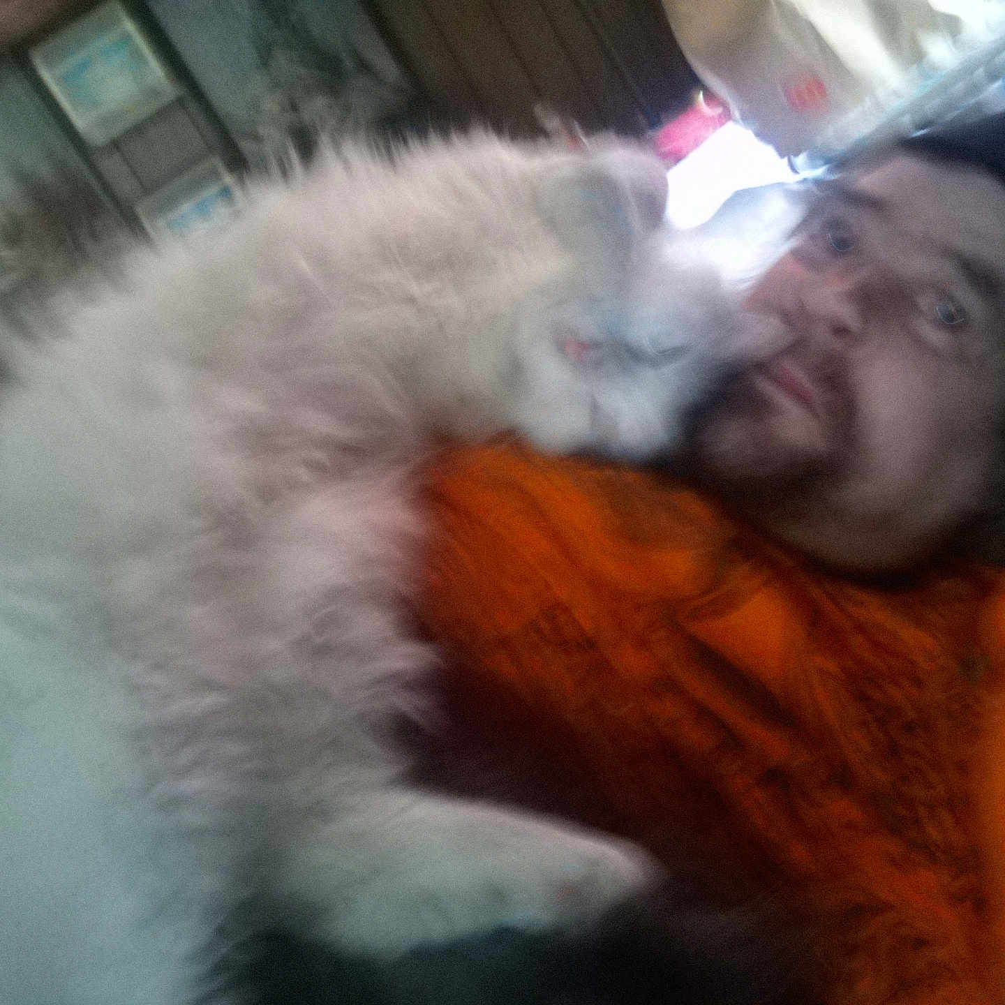 Walter joined the competition — help win amazing prizes! man, cat, indoor, orange_shirt, fluffy_cat, lying_down, cuddle, blurry, facial_hair, beanie, close_up, pet, furniture, relaxation, cozy, casual, home, companion, friendship, indoor_lighting