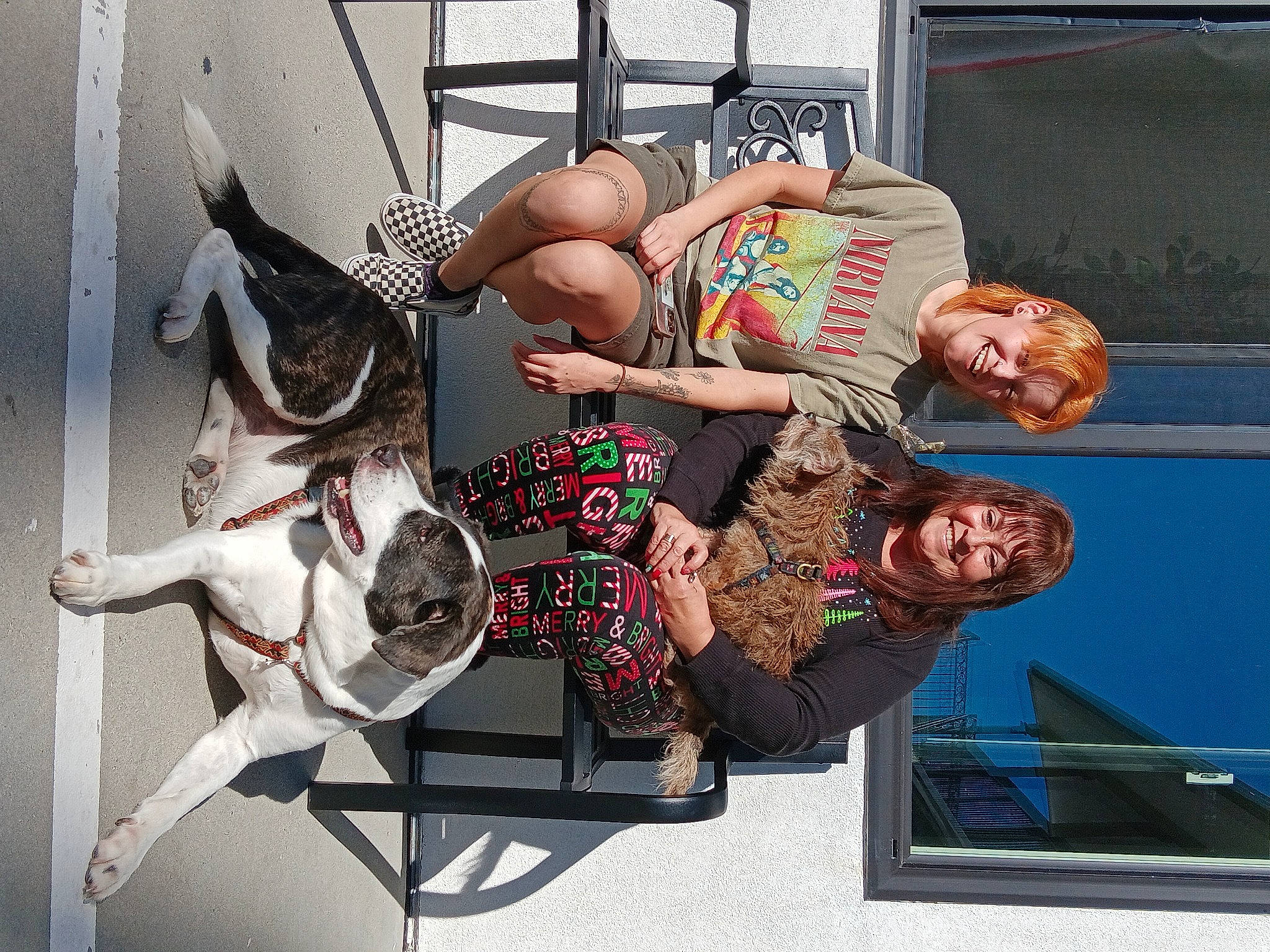 Bowie is registered to the contest to win money with this photo: art, event, eyewear, flesh, fun, leisure, sitting, smile, thigh, visual_arts, wrist