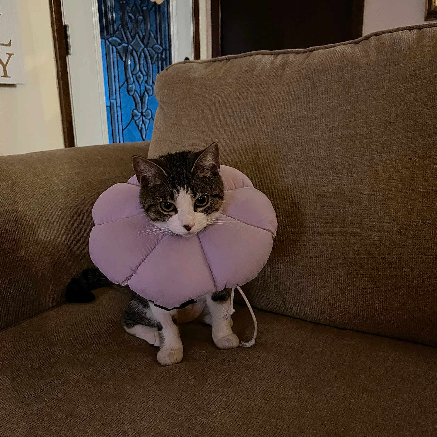 Nayla