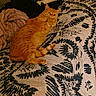 animal, bed, bedroom, bedspread, blanket, cat, cozy, furry, ginger_cat, indoor, lying_down, orange_cat, patterned_fabric, paws, pet, plush_toy, portrait, relaxed, whiskers, winking