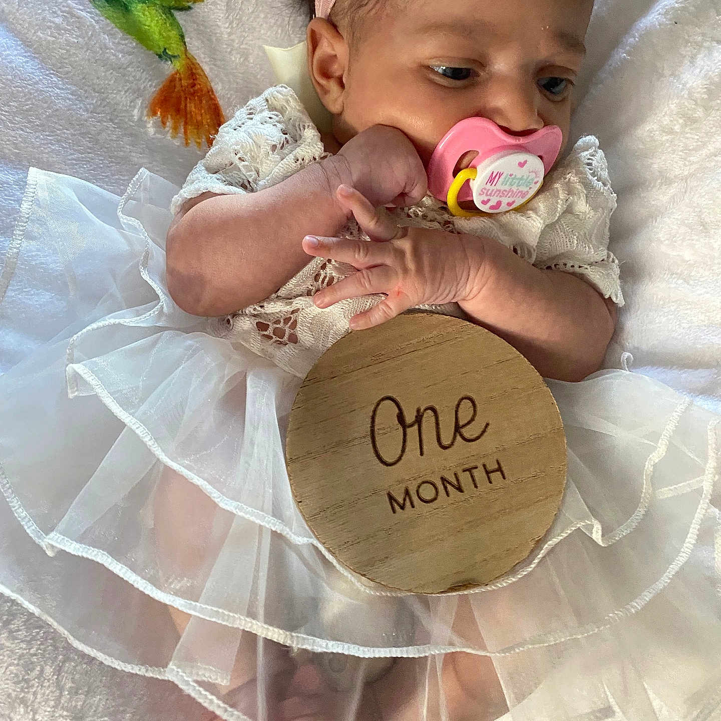 Lavaria joined the competition — help win amazing prizes! animal, baby, beachwear, bird, clothing, dress, face, furniture, hat, head, newborn, number, person, photography, portrait, quilt, sitting, symbol, text, toy