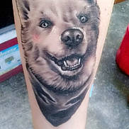 Sky joined the competition — help win amazing prizes! tattoo, wolf, dog, animal, face, leg, skin, ink, portrait, realistic, black_and_gray, canine, teeth, eyes, close_up, body_art, human_body, indoor, floor, photography