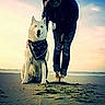 Sky is registered to the contest to win money with this photo: dog, person, beach, outdoor, seaside, ocean, sand, sky, sunglasses, long_hair, dark_clothing, bandana, sitting, standing, portrait, companion, pet, sunset, shoreline, photography