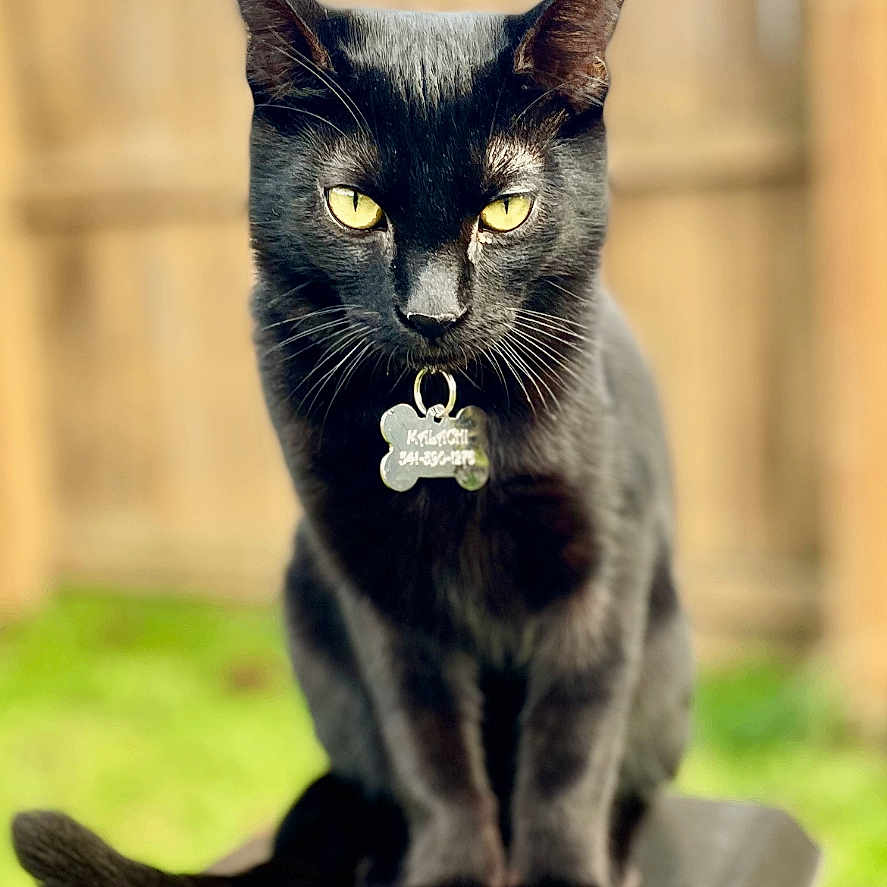 Malachi