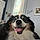 Finley