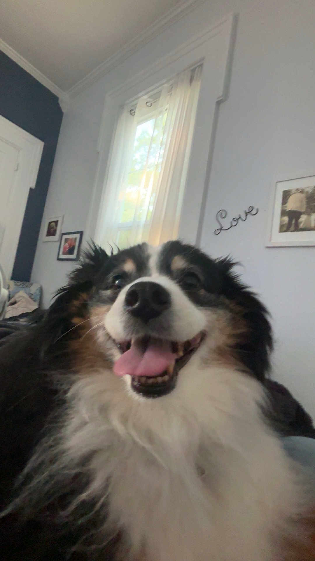 Finley