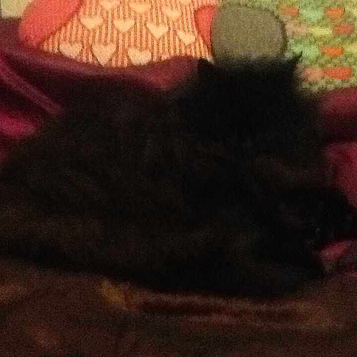 Princess