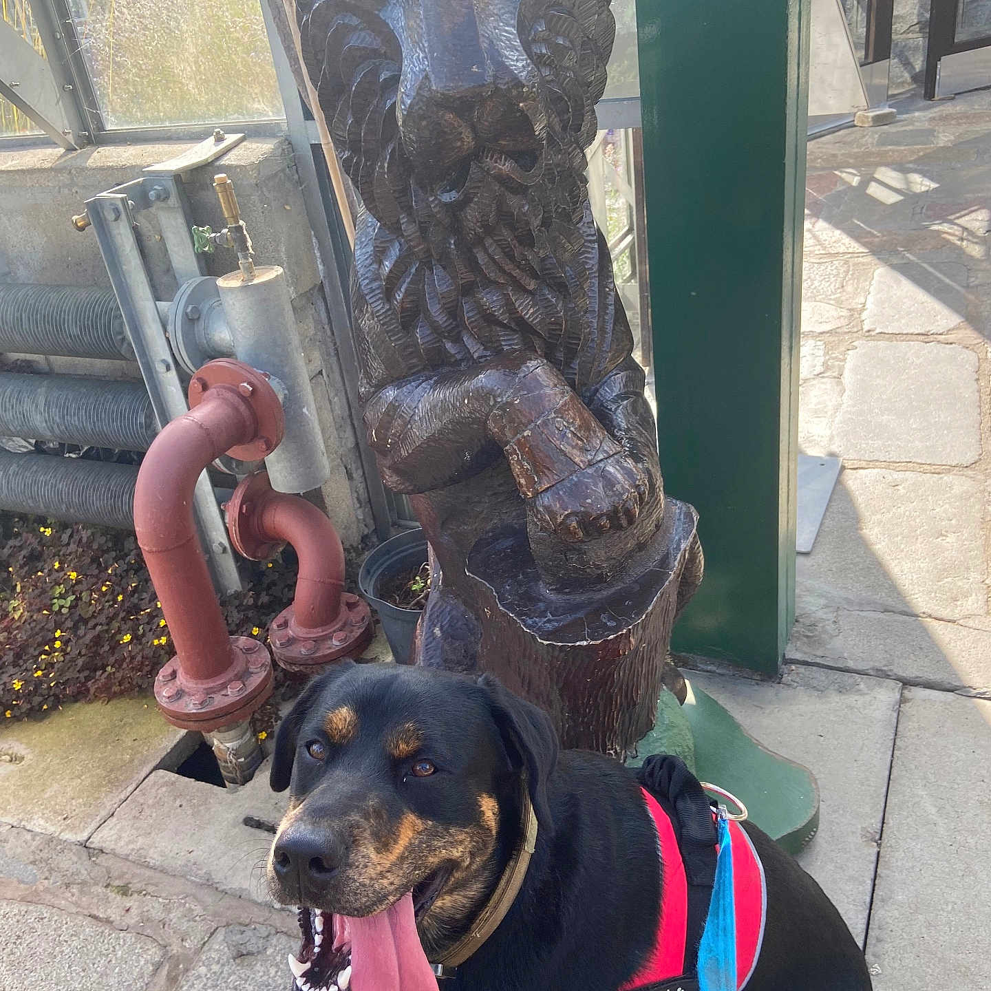 Molly is registered to the contest to win money with this photo: accessories, animal, architecture, canine, dog, emblem, face, fountain, grass, head, hydrant, path, person, pet, photography, pillar, plant, portrait, symbol, water