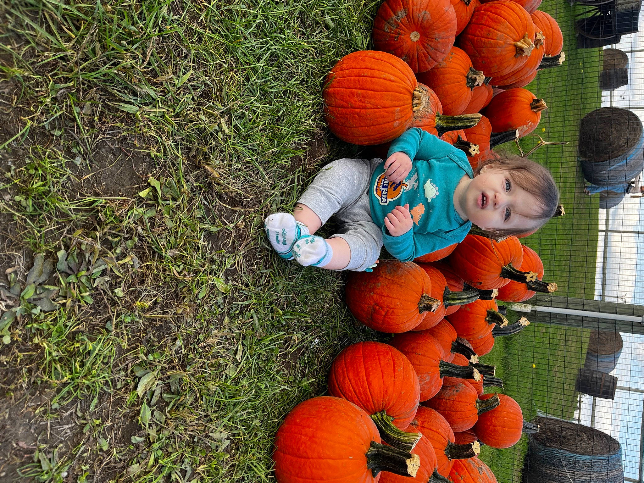Nicholas joined the competition — help win amazing prizes! _and_melon_family, _gourd, autumn, calabaza, child, cucumber, cucurbita, fruit, gourd, grass, local_food, natural_foods, orange, person, plant, produce, pumpkin, squash, superfood, vegetable