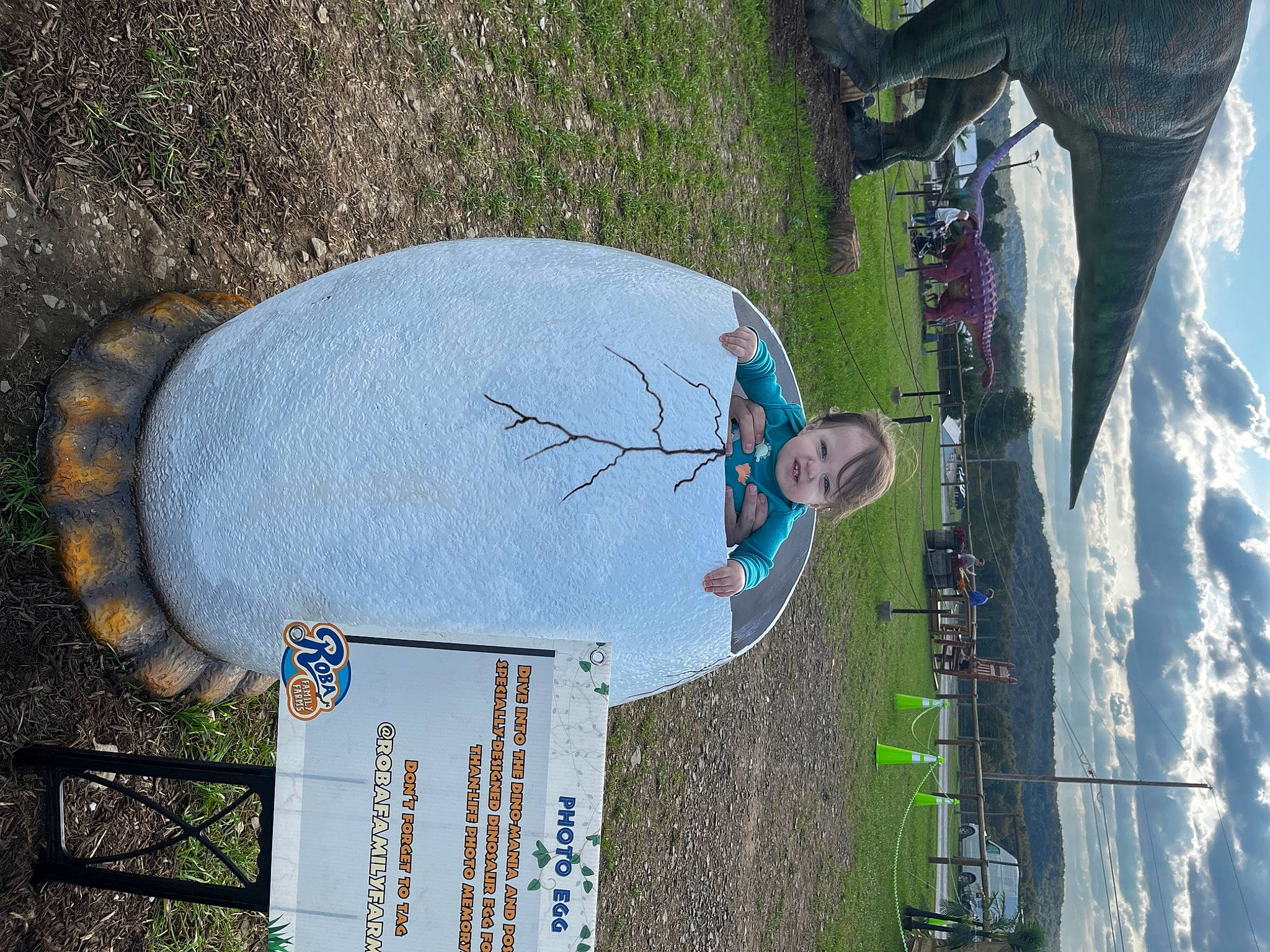 Nicholas joined the competition — help win amazing prizes! art, asphalt, circle, concrete, extreme_sport, font, grass, leisure, line, person, plant, recreation, shadow, sidewalk, signage, sky, slope, sport_climbing, tree, walking_shoe