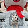 dog, bulldog, white_dog, harness, leash, bench, snowman, holiday_decoration, tinsel, festive, outdoor, urban, building, window, red_scarf, silver_tinsel, white_tinsel, curious, pet, winter