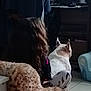 person, dog, curly_hair, indoor, furniture, computer, floor, sitting, back_view, animal, white_dog, spotted_dog, ears, tile_floor, casual_clothing, room, technology, relaxed, companion, home