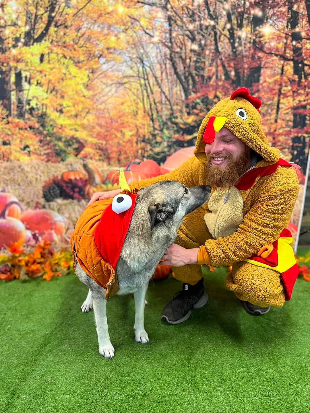 Jojo joined the competition — help win amazing prizes! art, beard, fawn, fictional_character, fun, fur, grass, grassland, happy, landscape, lawn_ornament, livestock, pack_animal, people_in_nature, plant, recreation, sheep, tail, tree, working_animal