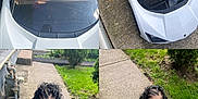 Delani is registered to the contest to win money with this photo: toddler, child, toy_car, white_car, curly_hair, overalls, sneakers, sidewalk, driveway, outdoor, daylight, steering_wheel, seatbelt, grass, concrete, playtime, happy, cute, portrait, person