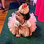 toddler, child, birthday, party, crown, tutu, pink, carpet, indoor, celebration, balloons, decorations, curly_hair, cute, crawling, floor, person, clothing, festive, happy