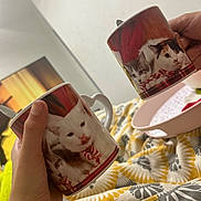 Krug a rejoint le concours — aidez-le/la à gagner de superbes lots ! mug, cat_print, cat_face, ceramic_mug, hand, fingers, thumb, bed, blanket, bedding, floral_pattern, tray, spoon, indoor, wall, television, cup_handle, cozy, closeup, tilted