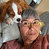woman, dog, cavalier_king_charles_spaniel, selfie, portrait, indoors, couch, cushion, glasses, gray_hair, brown_and_white_dog, fluffy, pet, affectionate, licking, face, sitting, casual_clothing, home, closeup