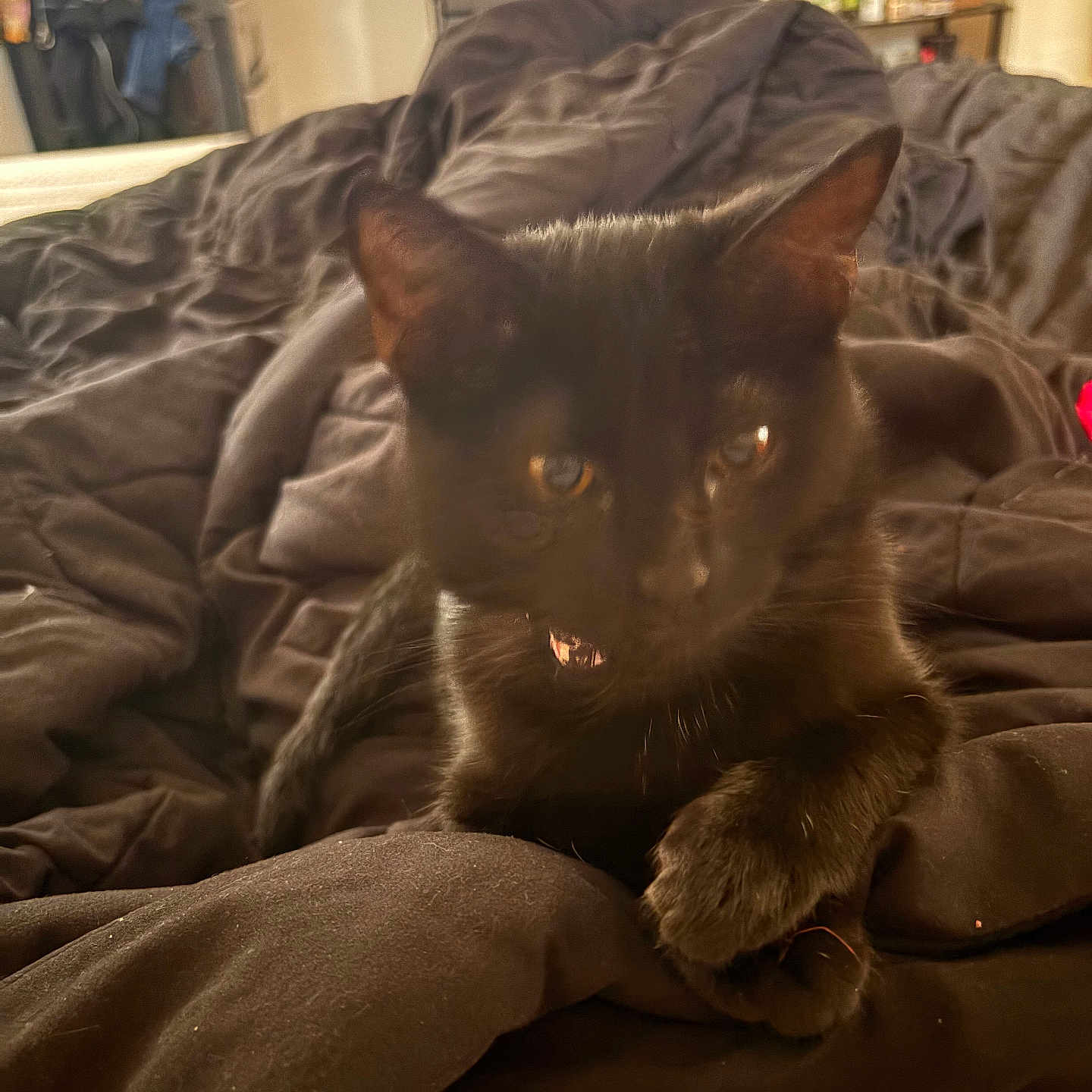 Luna