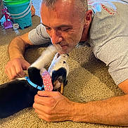Indiana Jones is registered to the contest to win money with this photo: affection, animal, carpet, casual, collar, dog, domestic, floor, hand, home, human, indoor, interaction, lying_down, man, pet, playing, short_hair, smiling, toy