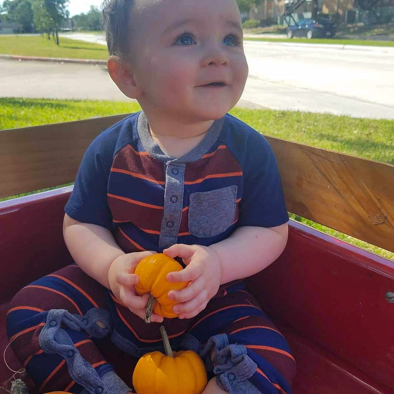 Liam joined the competition — help win amazing prizes! baby, clothing, face, food, glove, grass, head, outdoors, person, photography, plant, portrait, pottedplant, produce, pumpkin, sitting, squash, transportation, vegetable, vehicle