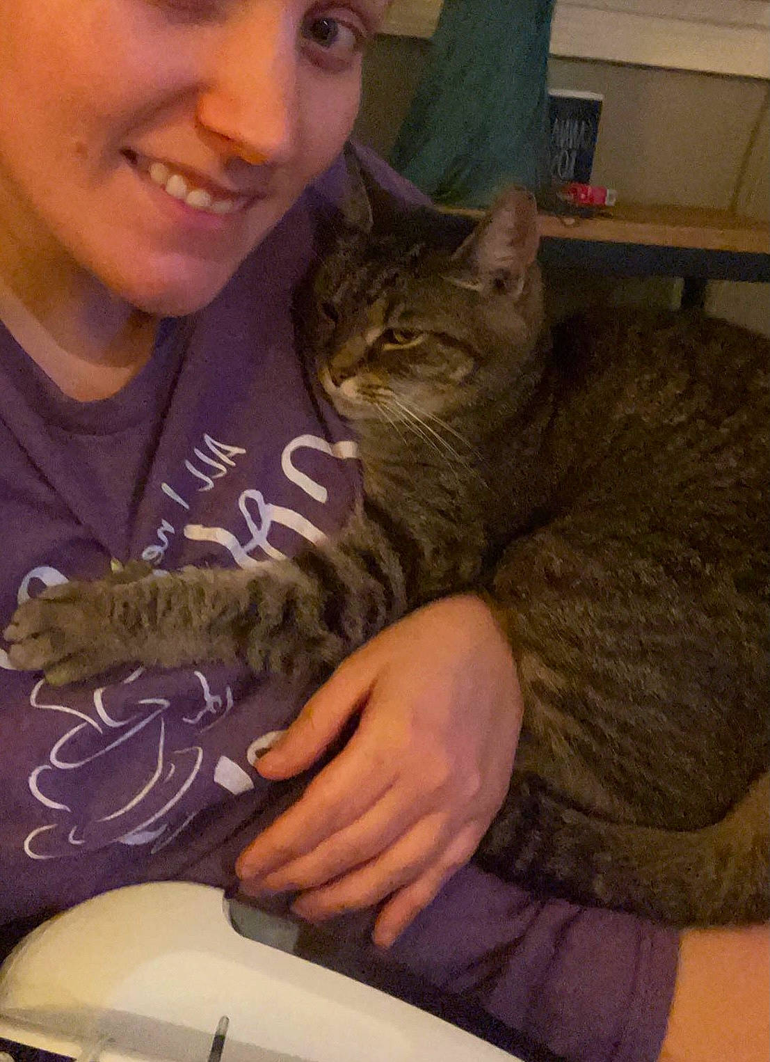 Kitty joined the competition — help win amazing prizes! carnivore, cat, comfort, domestic_short_haired_cat, ear, facial_expression, fawn, felidae, fur, gesture, happy, lap, membranophone, musical_instrument, organ, sitting, small_to_medium_sized_cats, smile, t_shirt, whiskers